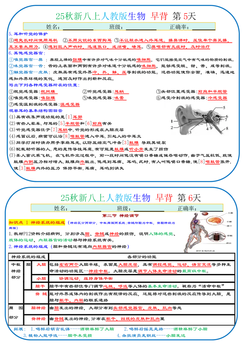 《2026《37天早背晚默背诵版》生物八上_25秋八上生物、地理、历史、道法～早读晚默小纸条》第3页预览