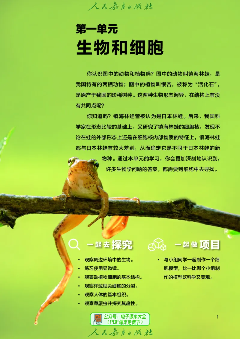 《七上生物（2024秋）_光塔笔记初中课本_初中生物学_人教版_初中生物7年级上册》第10页预览