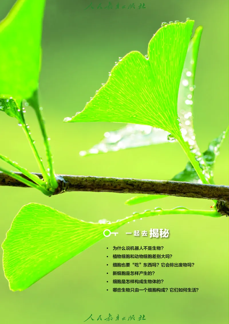 《七上生物（2024秋）_光塔笔记初中课本_初中生物学_人教版_初中生物7年级上册》第9页预览