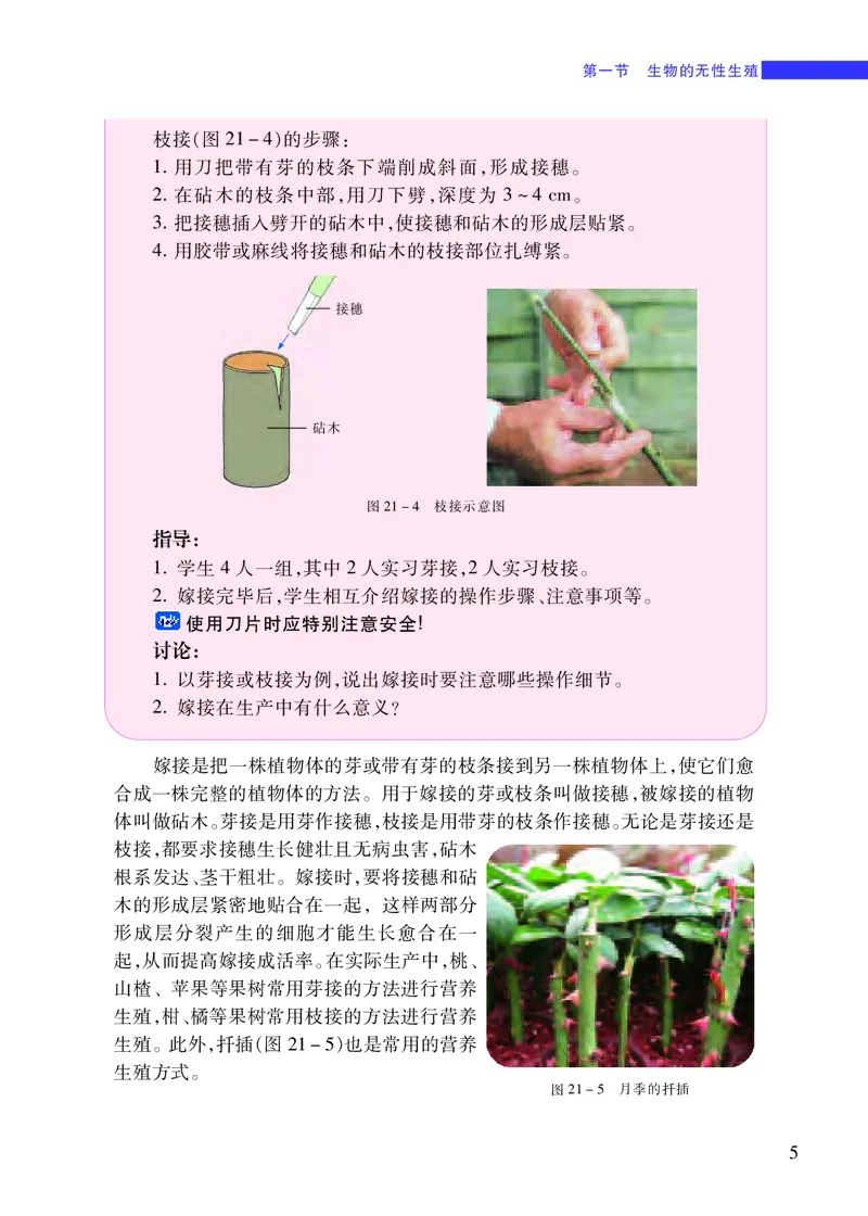 《[D]生物学——八下正文（百度网盘）压缩_光塔笔记初中课本_初中生物学_苏教版》第10页预览