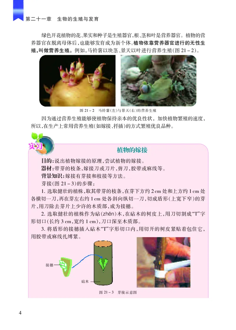 《[D]生物学——八下正文（百度网盘）压缩_光塔笔记初中课本_初中生物学_苏教版》第9页预览