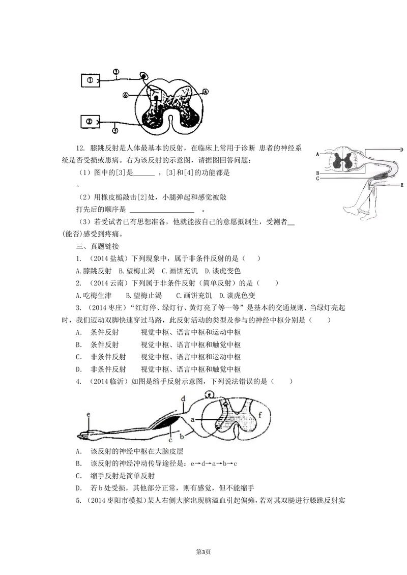 《4.6.3神经调节的基本方式同步练习_初中全科目同步习题+精品试卷（7-9年级）_25秋初中生物《同步习题+精品试卷》_初中生物试卷（北师大）_《单元试卷》_单元试卷7B_同步练习与总结》第3页预览