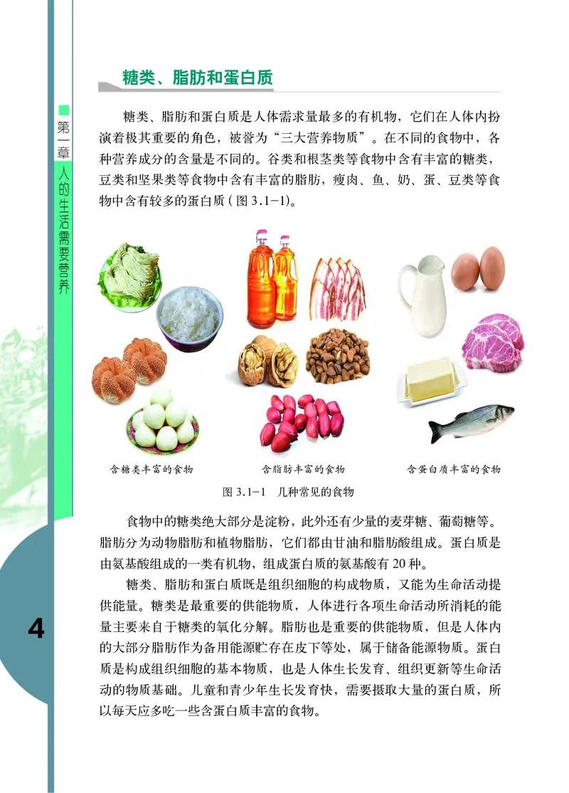 《七年级下册_光塔笔记初中课本_初中生物学_济南版》第8页预览