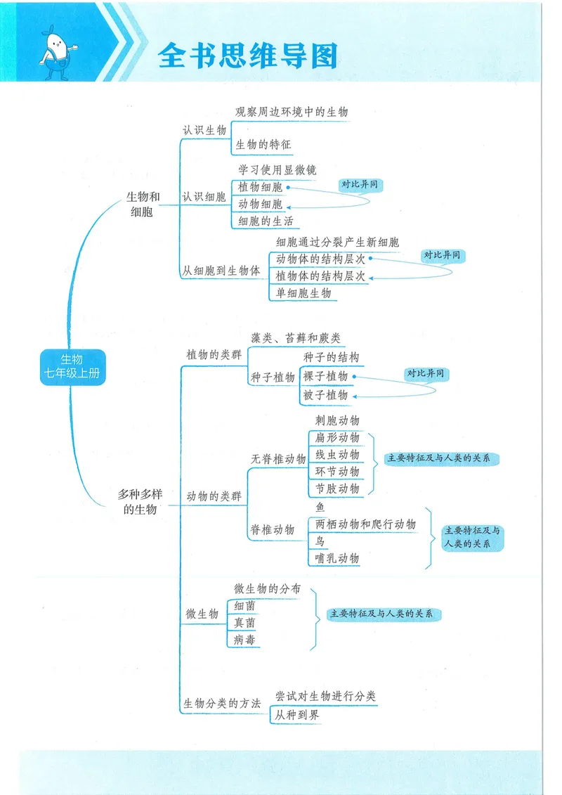 《53-初中同步-7上-生物人教版全练版_初中全科目同步习题+精品试卷（7-9年级）_25秋初中生物《同步习题+精品试卷》_初中生物试卷（人教版）_《53全练版》2024秋》第10页预览