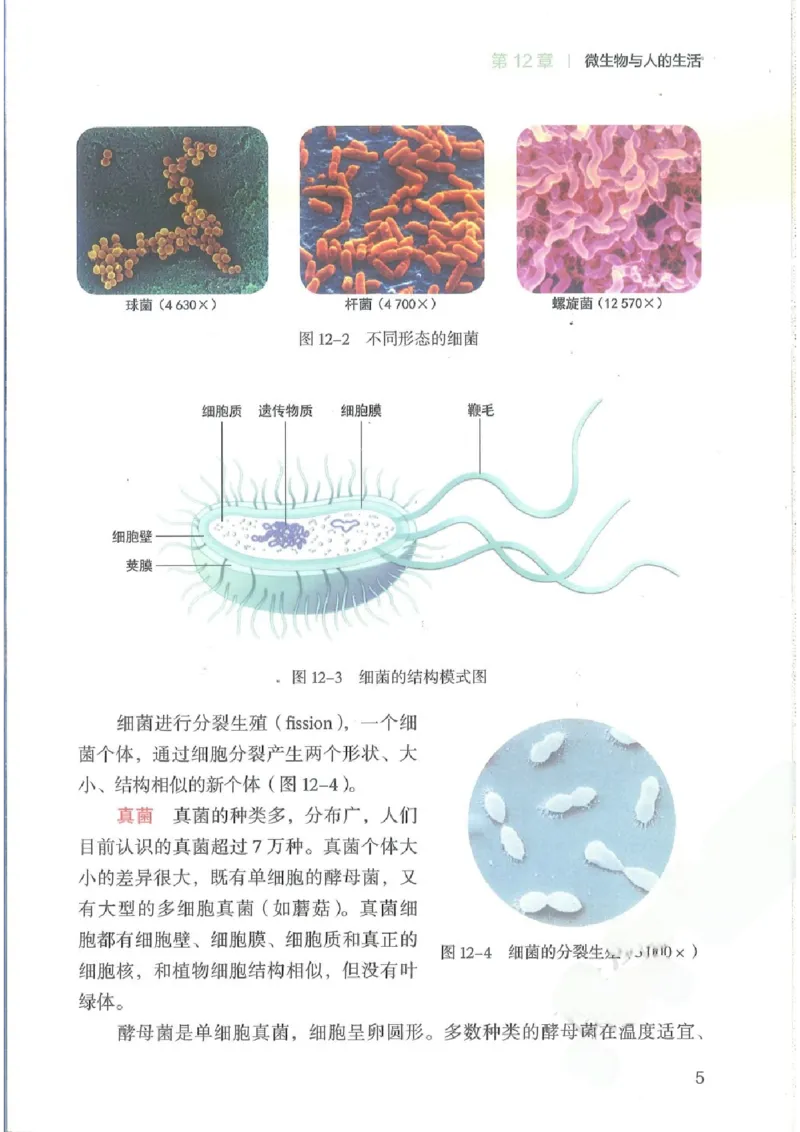 《2025秋北师版八年级生物学上册新教材_光塔笔记初中课本_2025秋新增教材合集（更新中）_初中生物》第9页预览
