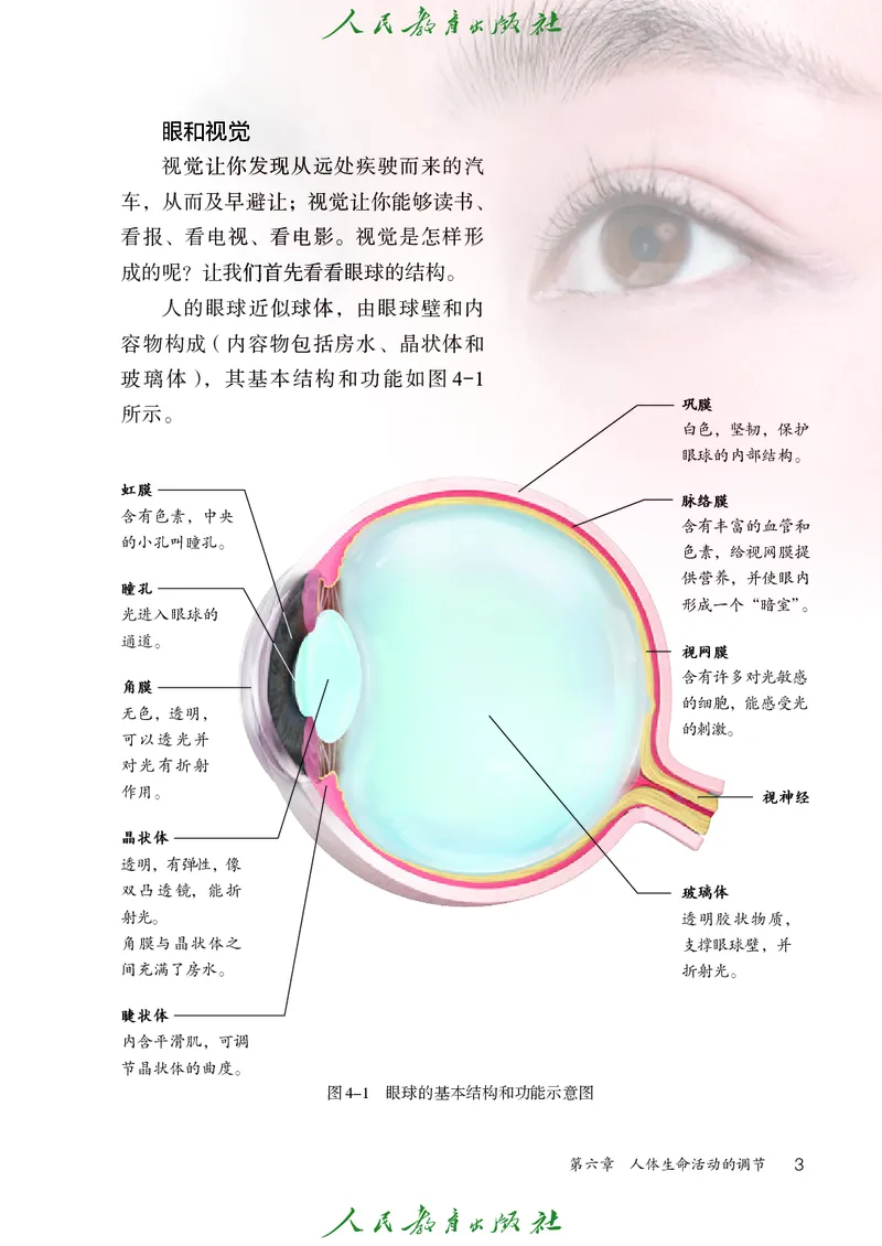 《2025秋生物学八年级上册_光塔笔记初中课本_初中生物学_人教版_初中生物（2025秋季新教材）》第8页预览