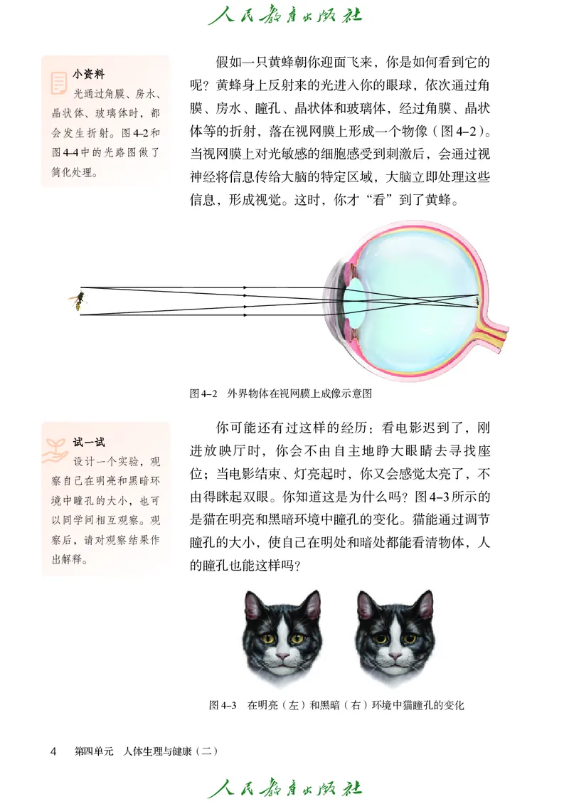 《2025秋生物学八年级上册_光塔笔记初中课本_初中生物学_人教版_初中生物（2025秋季新教材）》第9页预览