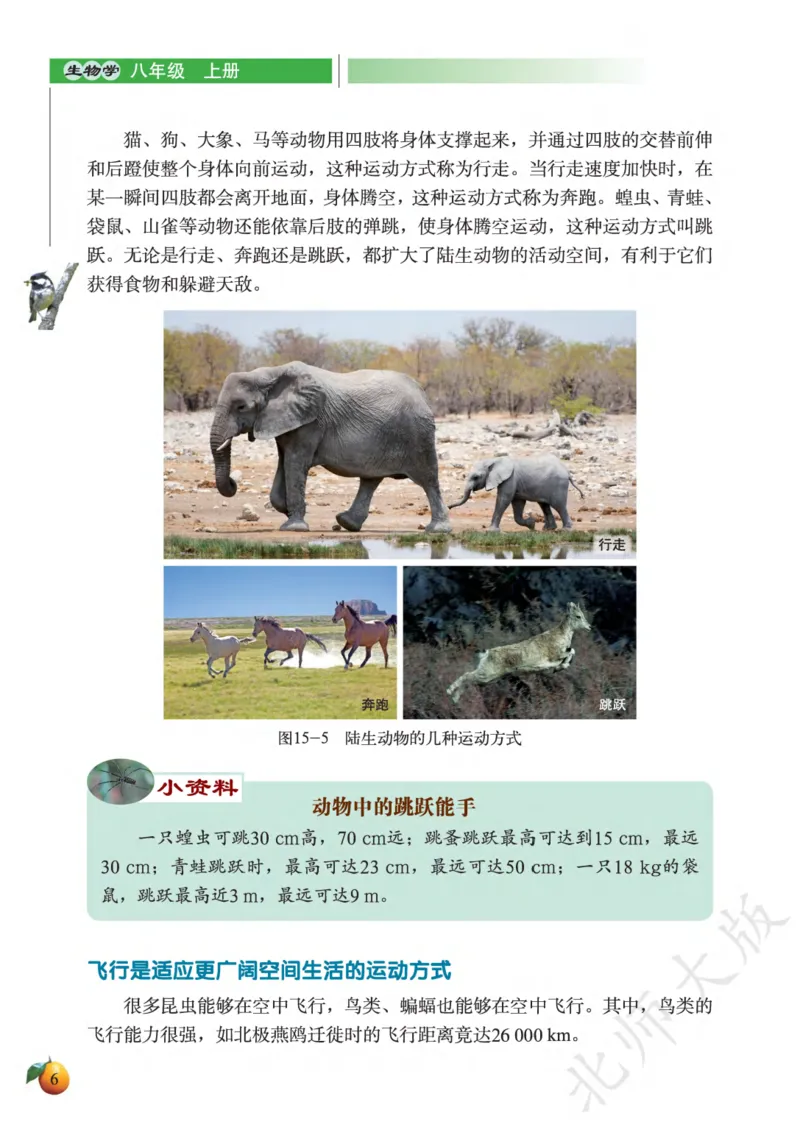 《义务教育教科书·生物学八年级上册_光塔笔记初中课本_初中生物学_北师大》第10页预览
