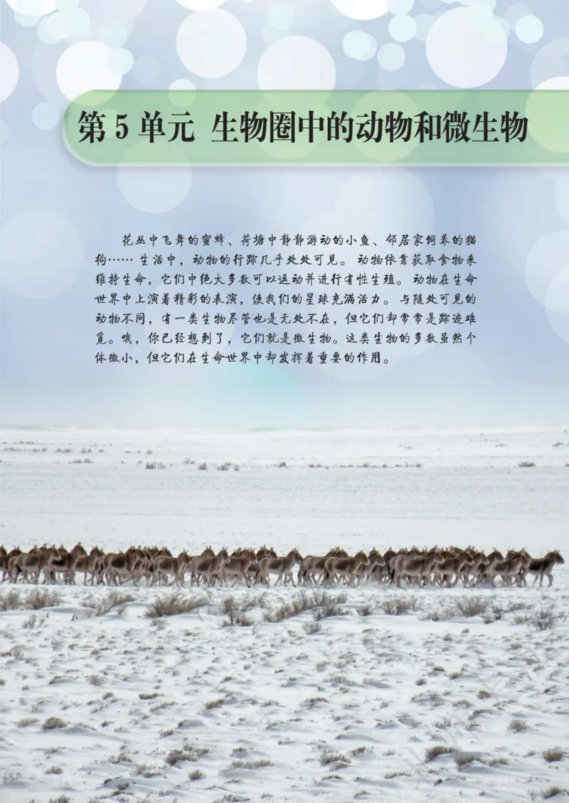 《义务教育教科书·生物学八年级上册_光塔笔记初中课本_初中生物学_北师大》第5页预览