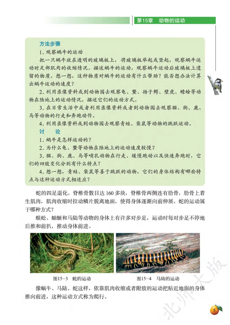 《义务教育教科书·生物学八年级上册_光塔笔记初中课本_初中生物学_北师大》第9页预览
