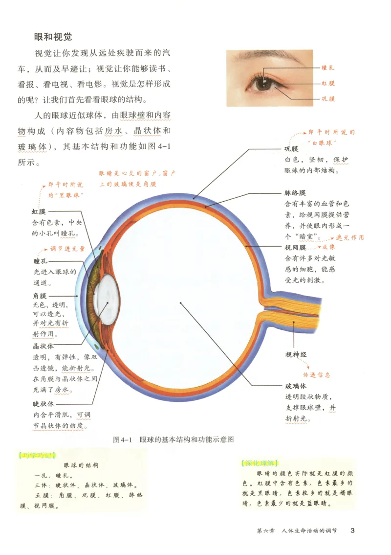 《2025秋《课堂笔记》八上生物（人教版）_光塔笔记初中课本_初中生物学_人教版_初中生物8年级上册》第7页预览