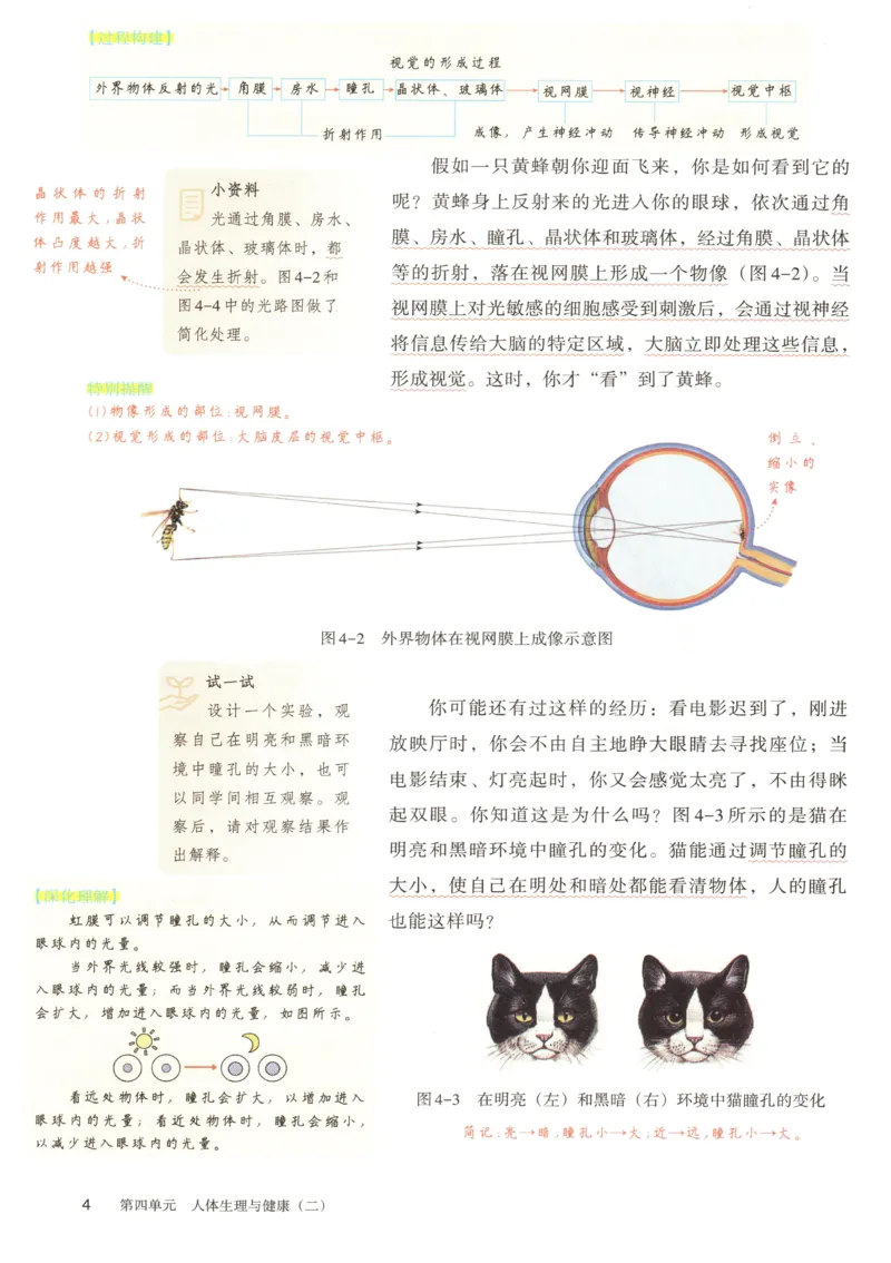 《2025秋《课堂笔记》八上生物（人教版）_光塔笔记初中课本_初中生物学_人教版_初中生物8年级上册》第8页预览