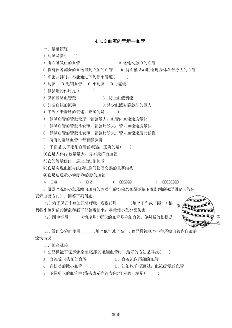 《4.4.2血流的管道—血管同步练习_初中全科目同步习题+精品试卷（7-9年级）_25秋初中生物《同步习题+精品试卷》_初中生物试卷（北师大）_《单元试卷》_单元试卷7B_同步练习与总结》第1页预览
