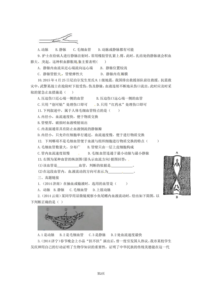 《4.4.2血流的管道—血管同步练习_初中全科目同步习题+精品试卷（7-9年级）_25秋初中生物《同步习题+精品试卷》_初中生物试卷（北师大）_《单元试卷》_单元试卷7B_同步练习与总结》第2页预览