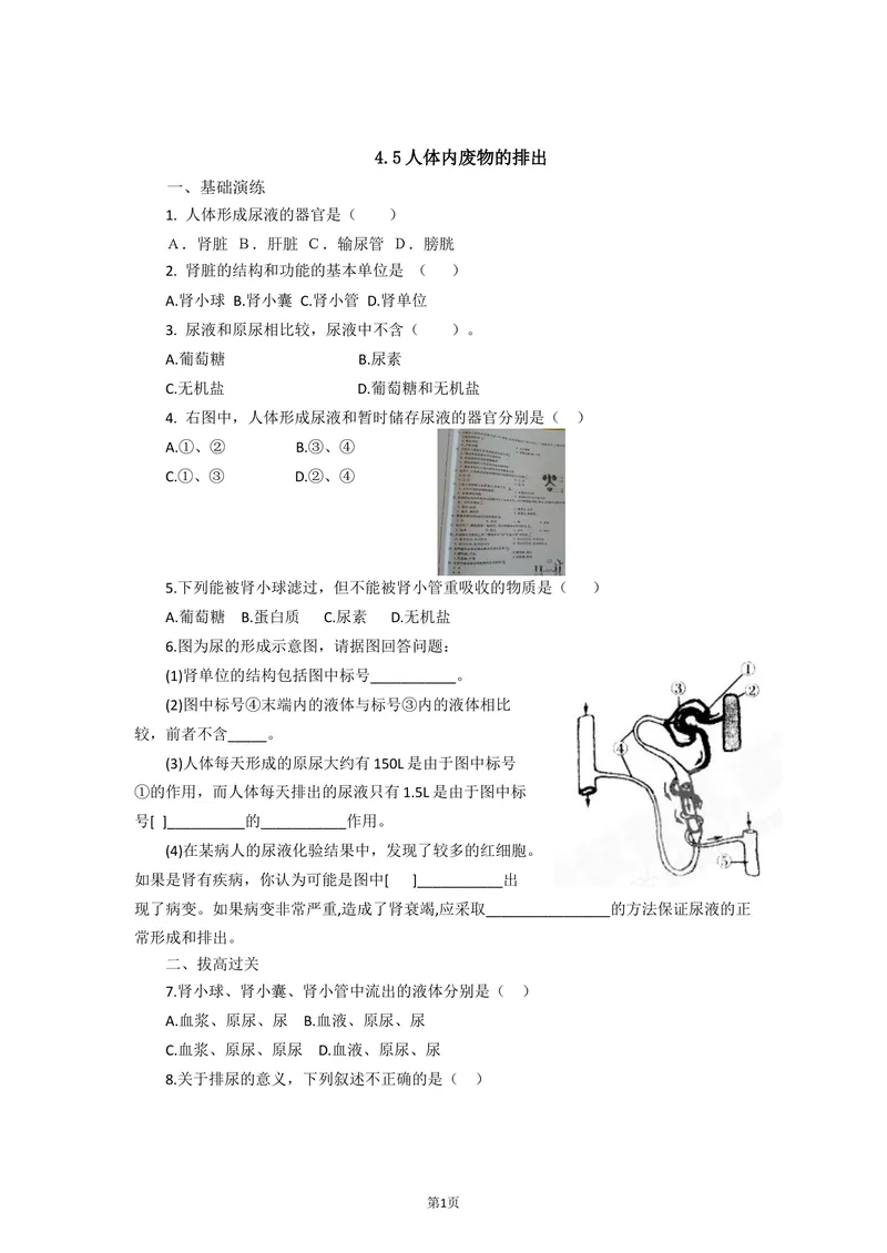 《4.5人体内废物的排出同步练习_初中全科目同步习题+精品试卷（7-9年级）_25秋初中生物《同步习题+精品试卷》_初中生物试卷（北师大）_《单元试卷》_单元试卷7B_第五章人体内废物的排出》第1页预览