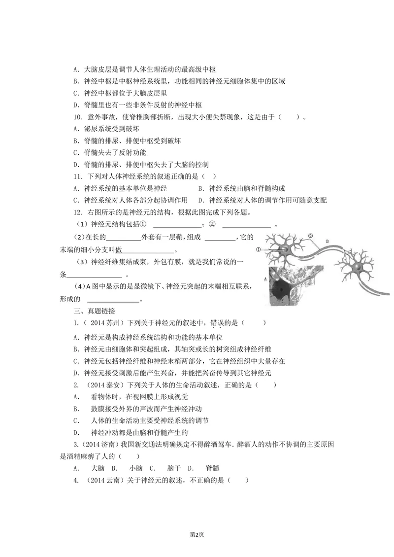 《4.6.2神经系统的组成同步练习_初中全科目同步习题+精品试卷（7-9年级）_25秋初中生物《同步习题+精品试卷》_初中生物试卷（北师大）_《单元试卷》_单元试卷7B_同步练习与总结》第2页预览