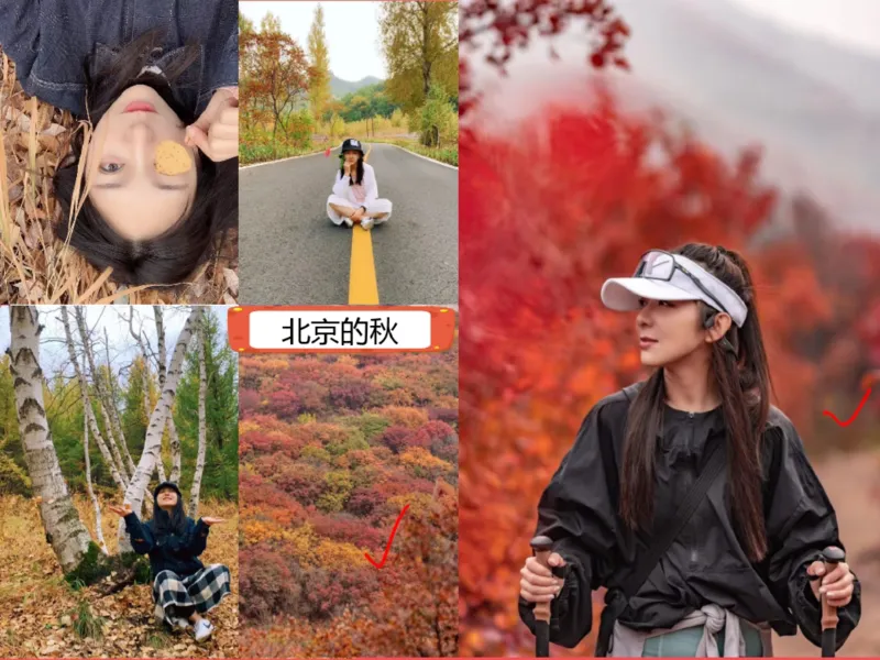 《01.课堂笔记主讲课中笔记_2025初一网课_25初一语文_2025初一语文贾慧芳A+秋下_00.课堂笔记》第2页预览