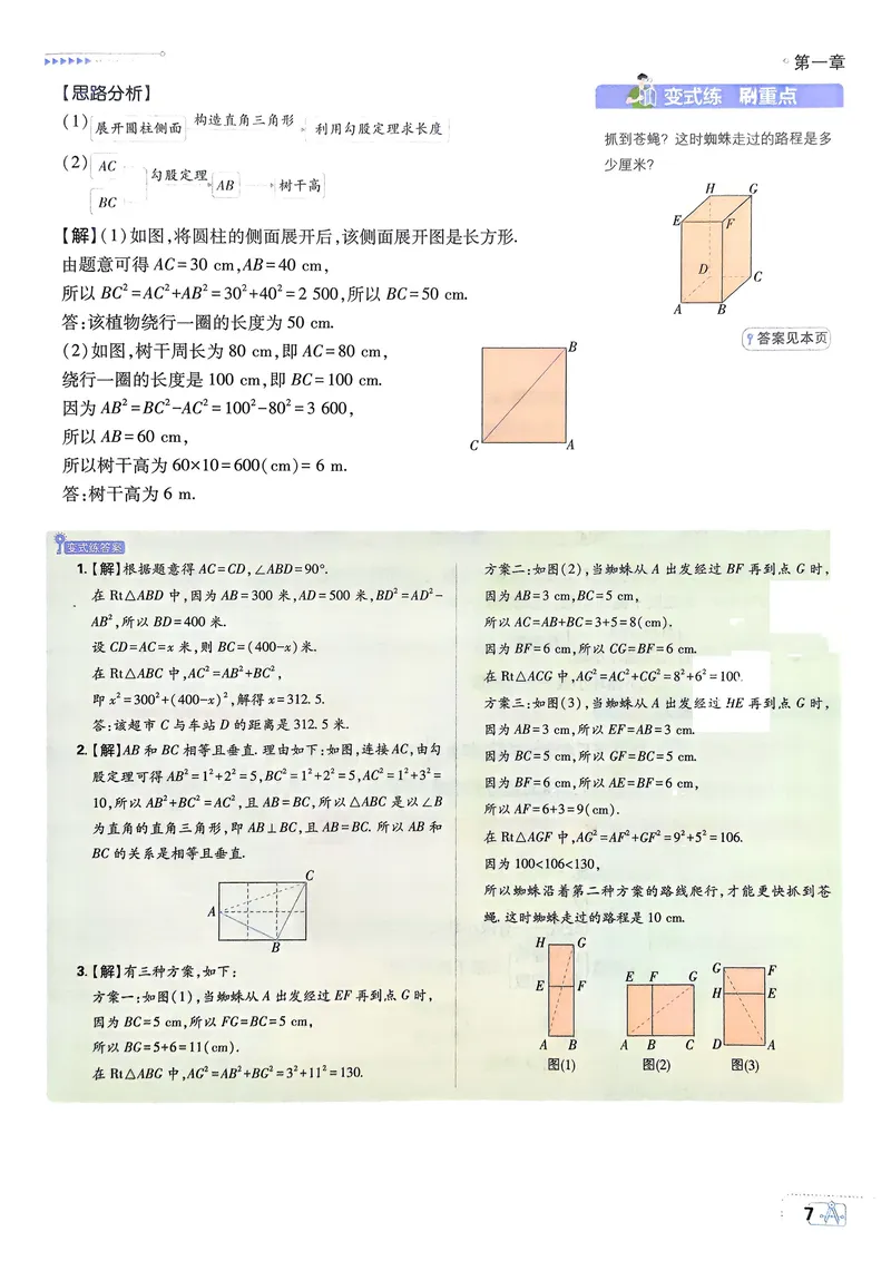 《2026《初中必刷题•数学》8上狂K重点(BSD)_初中全科目同步习题+精品试卷（7-9年级）_25秋初中数学《同步习题+精品试卷》_初中数学北师大试卷_上册_《初中必刷题》2026版》第10页预览