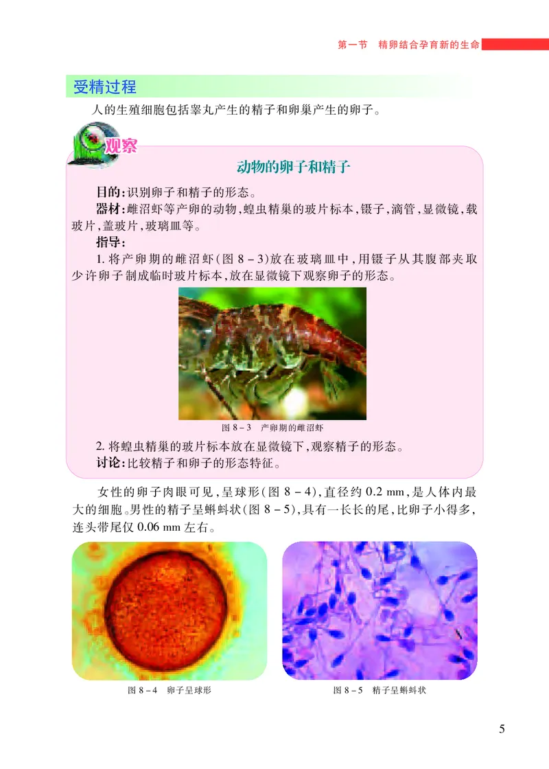 《[D]生物学——七下正文（百度网盘）压缩_光塔笔记初中课本_初中生物学_苏教版》第10页预览