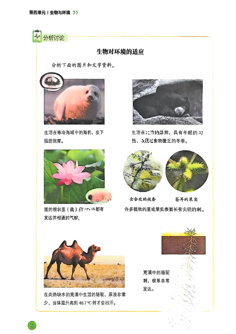 《2025秋鲁科版生物七年级上册电子课本（五四制）_光塔笔记初中课本_2025秋新增教材合集（更新中）_初中生物》第8页预览
