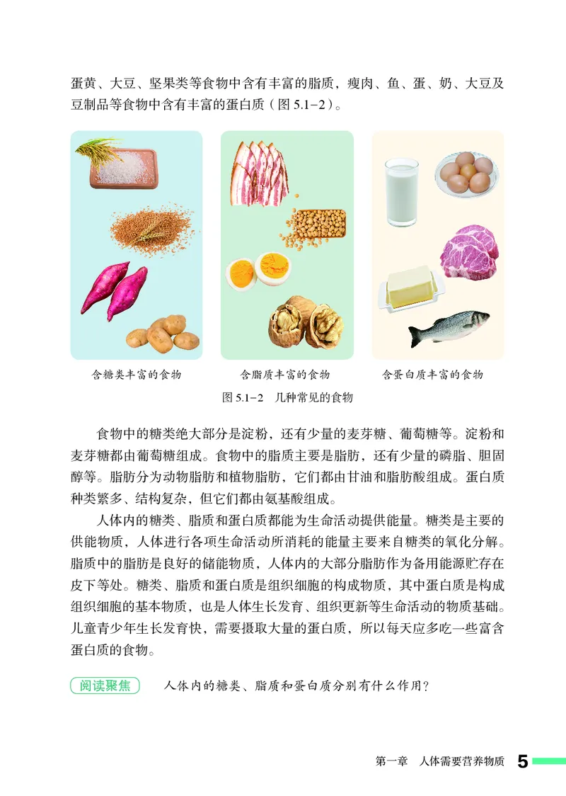《2025秋济南版生物八年级上册电子课本_光塔笔记初中课本_2025秋新增教材合集（更新中）_初中生物》第10页预览