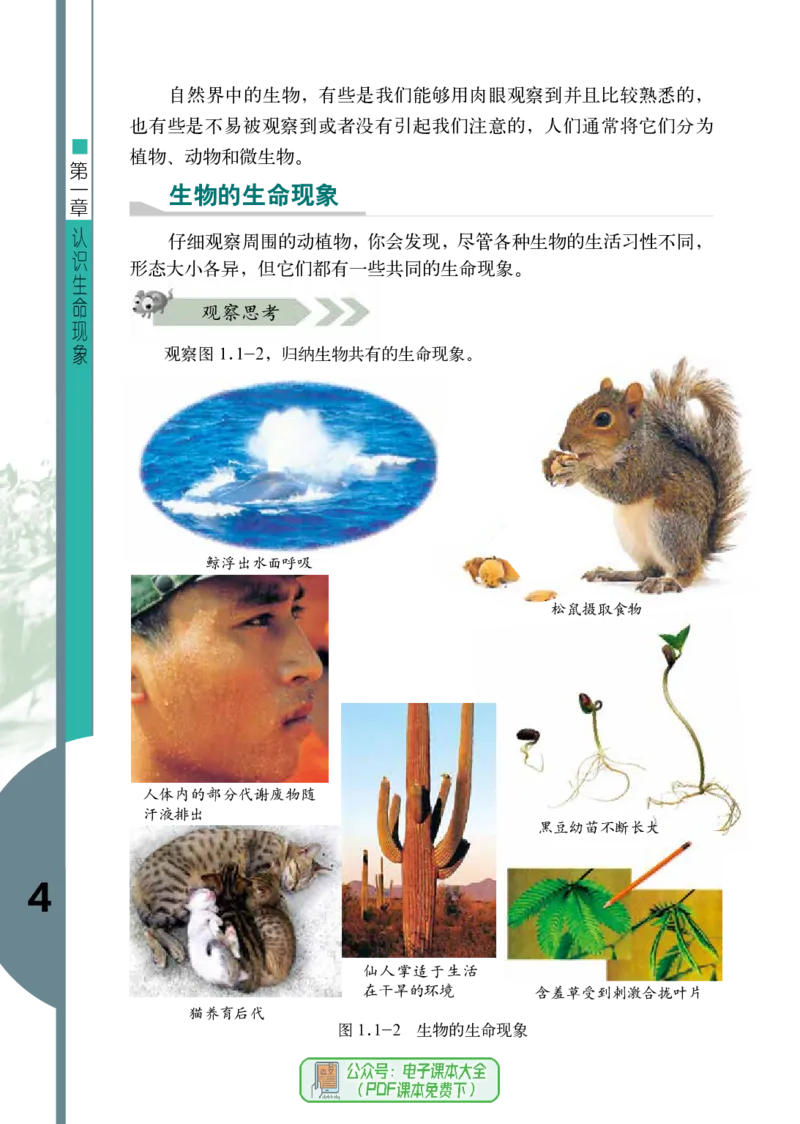 《七年级上册_光塔笔记初中课本_初中生物学_济南版》第10页预览