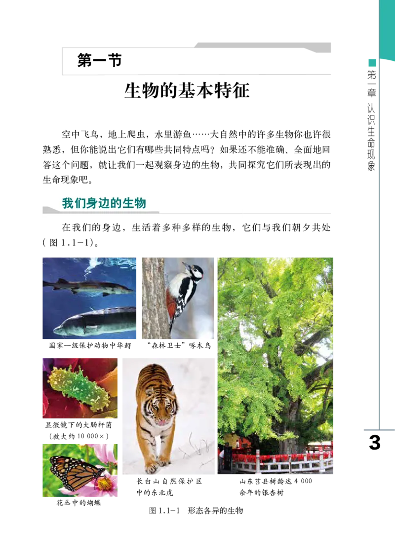 《七年级上册_光塔笔记初中课本_初中生物学_济南版》第9页预览