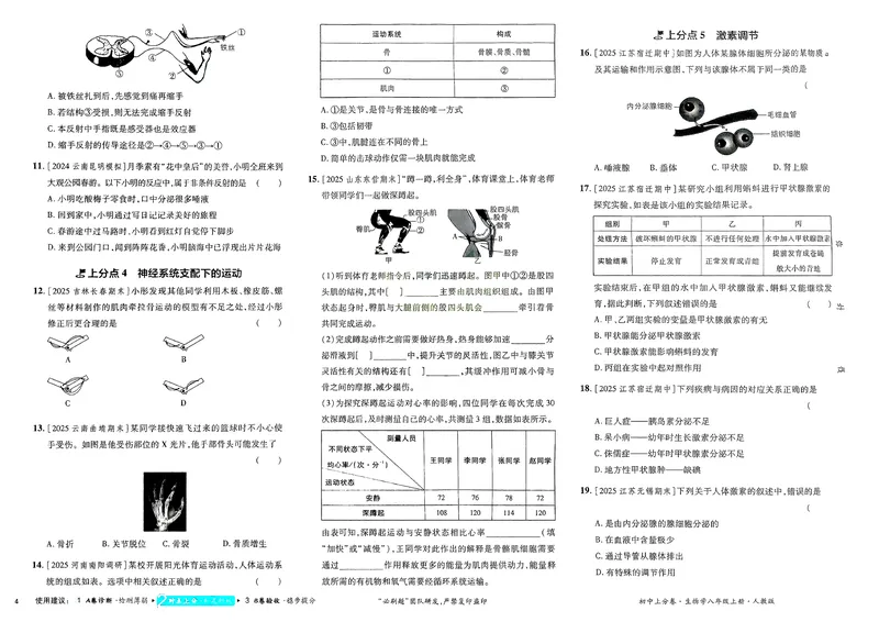 《2025秋初中上分卷生物8年级上册_初中全科目同步习题+精品试卷（7-9年级）_25秋初中生物《同步习题+精品试卷》_初中生物试卷（人教版）_《初中上分卷》2025秋》第6页预览