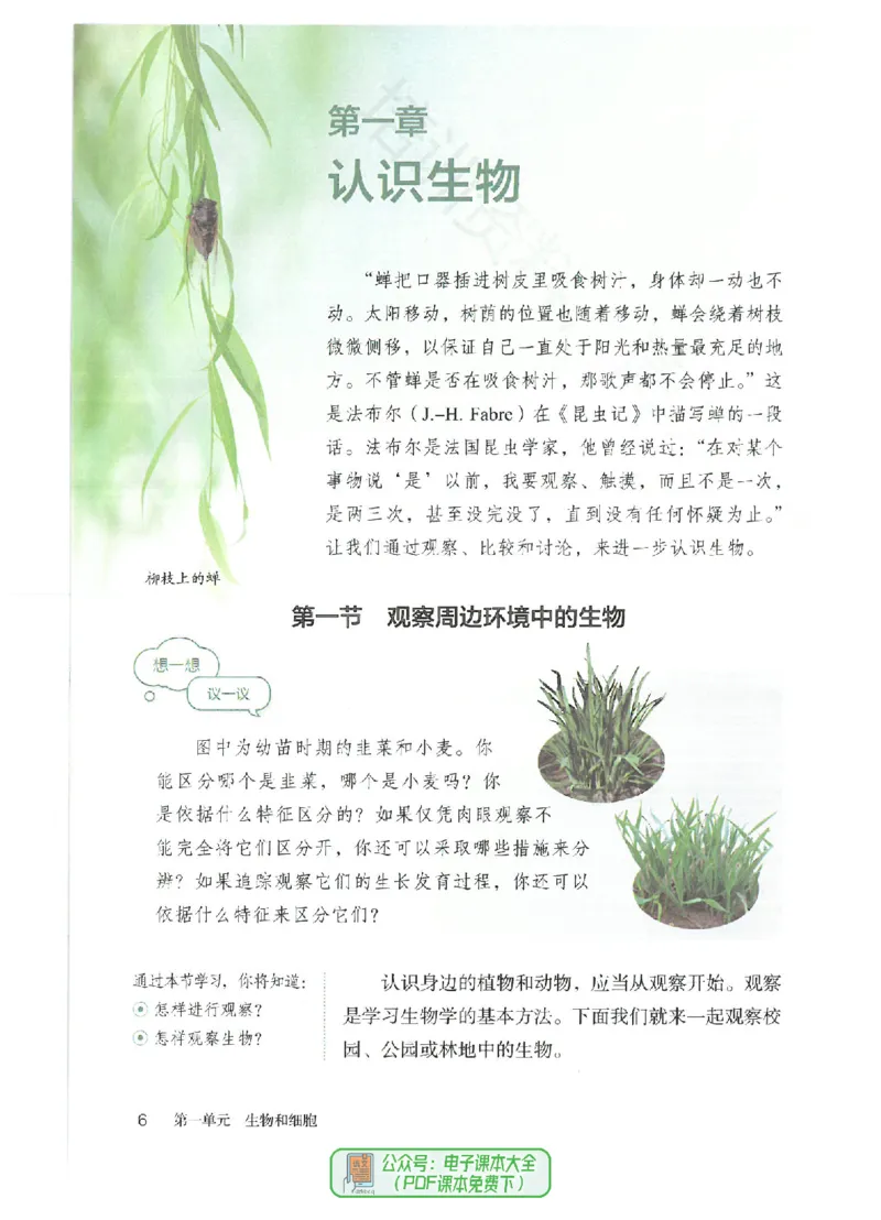 《24年秋人教版七上生物新教材_光塔笔记初中课本_初中生物学_人教版_初中生物（2024秋季新教材）》第10页预览