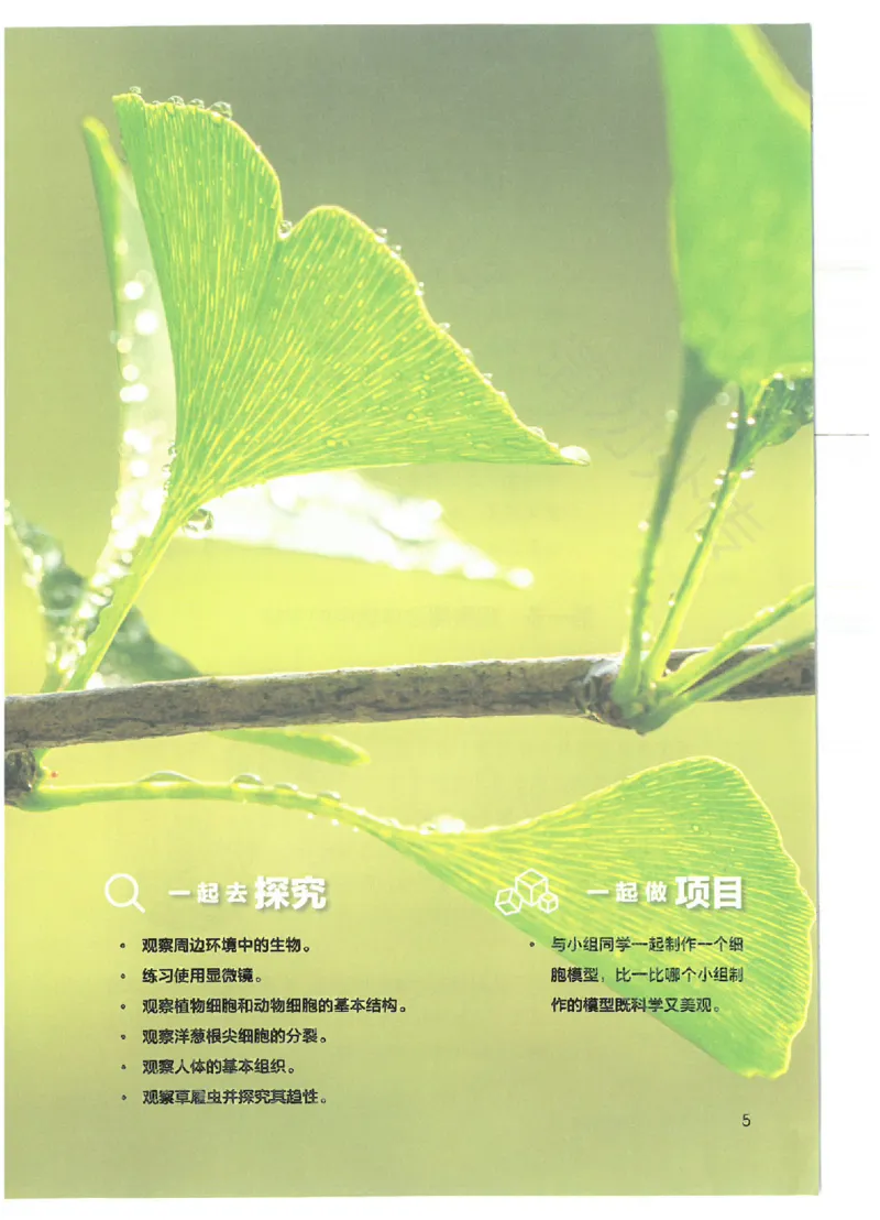 《24年秋人教版七上生物新教材_光塔笔记初中课本_初中生物学_人教版_初中生物（2024秋季新教材）》第9页预览