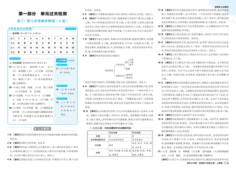 《2025秋初中上分卷生物8年级上册解析册_2026版初中《必刷题上分卷》8年级上册（8科）北师+人教_2026《初中上分卷》生物RJ》第3页预览
