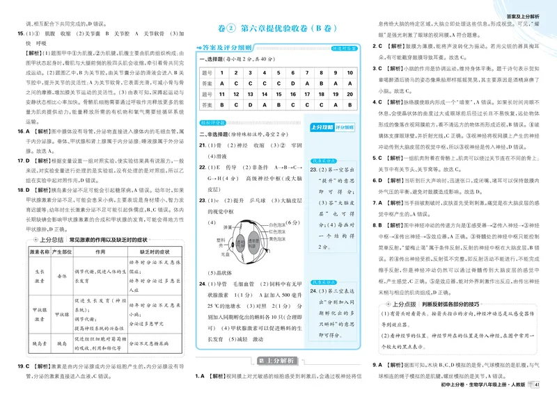 《2025秋初中上分卷生物8年级上册解析册_2026版初中《必刷题上分卷》8年级上册（8科）北师+人教_2026《初中上分卷》生物RJ》第5页预览
