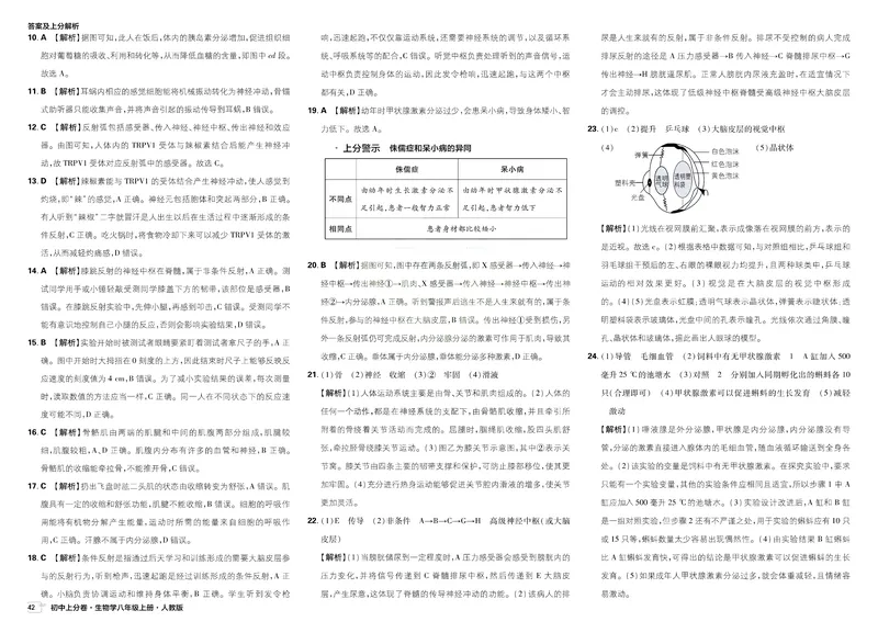 《2025秋初中上分卷生物8年级上册解析册_2026版初中《必刷题上分卷》8年级上册（8科）北师+人教_2026《初中上分卷》生物RJ》第6页预览