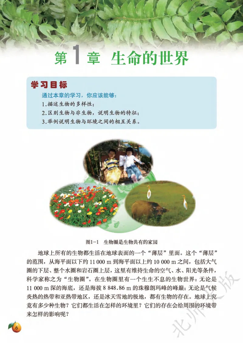 《义务教育教科书·生物学七年级上册_光塔笔记初中课本_初中生物学_北师大》第10页预览