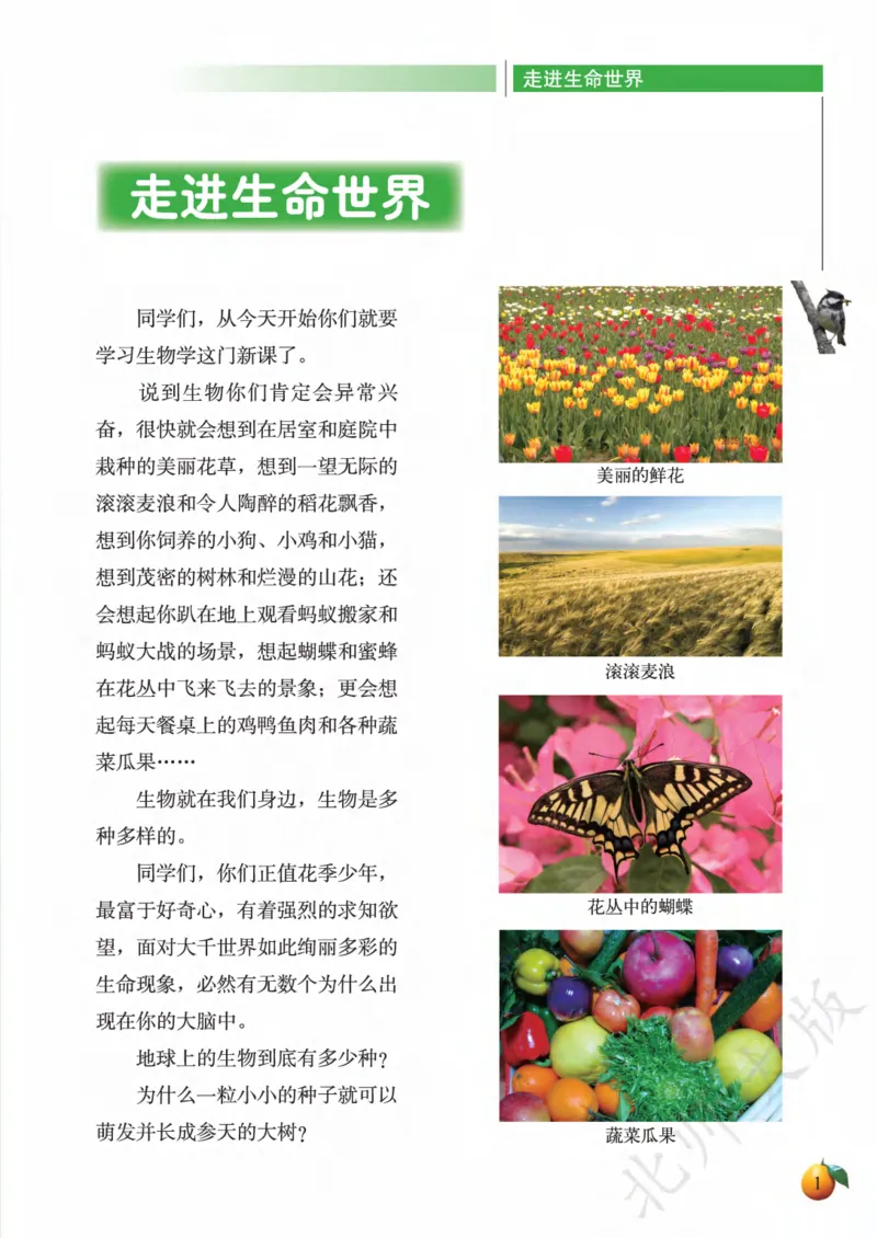 《义务教育教科书·生物学七年级上册_光塔笔记初中课本_初中生物学_北师大》第5页预览