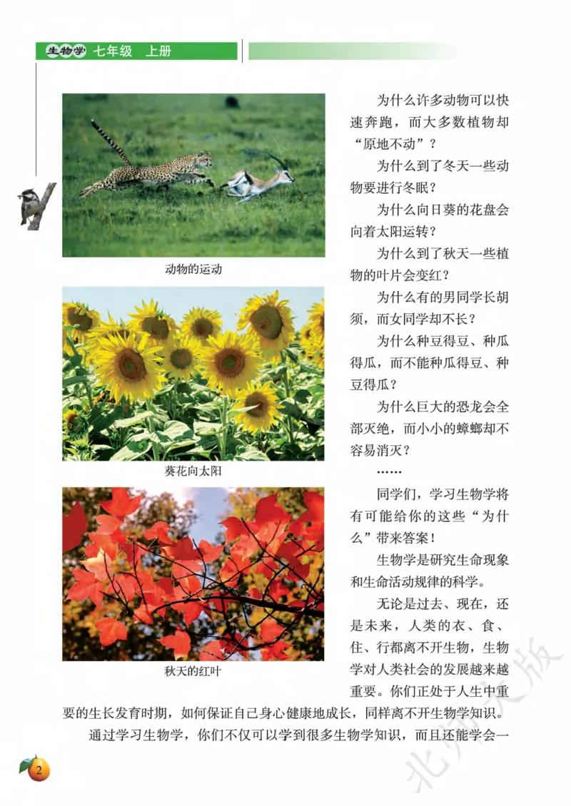 《义务教育教科书·生物学七年级上册_光塔笔记初中课本_初中生物学_北师大》第6页预览