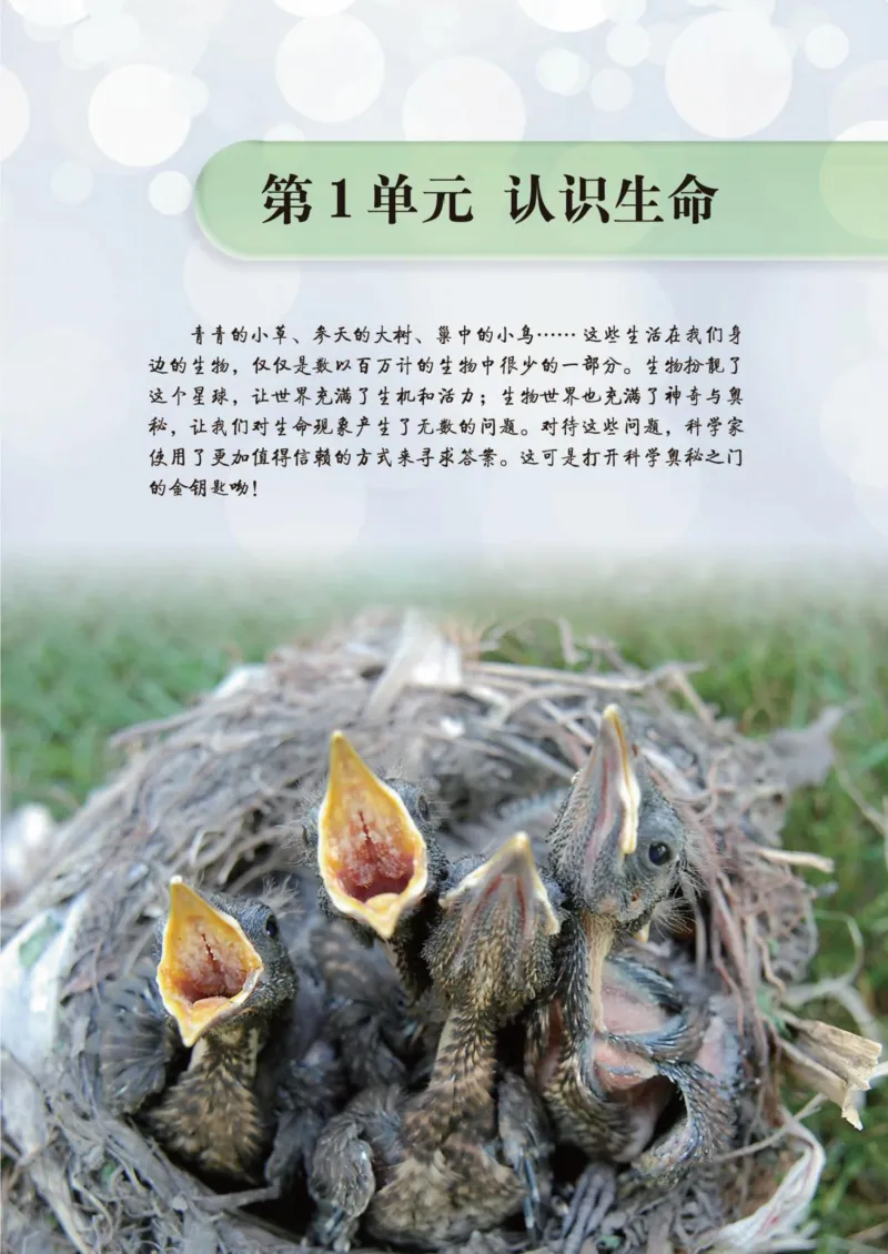 《义务教育教科书·生物学七年级上册_光塔笔记初中课本_初中生物学_北师大》第9页预览