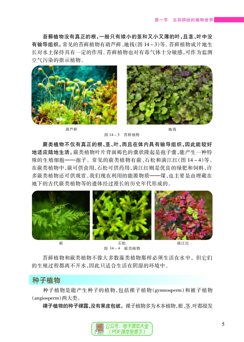 《[D]生物学——八上正文（百度网盘）压缩_光塔笔记初中课本_初中生物学_苏教版》第10页预览