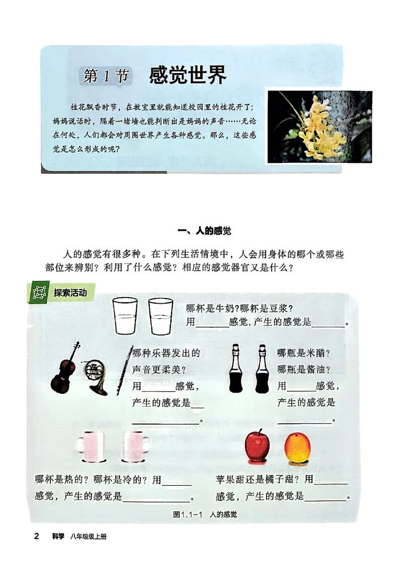 《2025秋新版浙教八上科学教材（高清彩图）_光塔笔记初中课本_2025秋新增教材合集（更新中）_初中科学》第5页预览