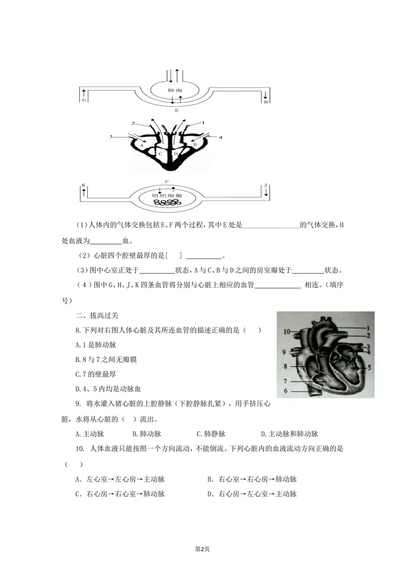 《4.4.3输送血液的泵—心脏同步练习_初中全科目同步习题+精品试卷（7-9年级）_25秋初中生物《同步习题+精品试卷》_初中生物试卷（北师大）_《单元试卷》_单元试卷7B_同步练习与总结》第2页预览