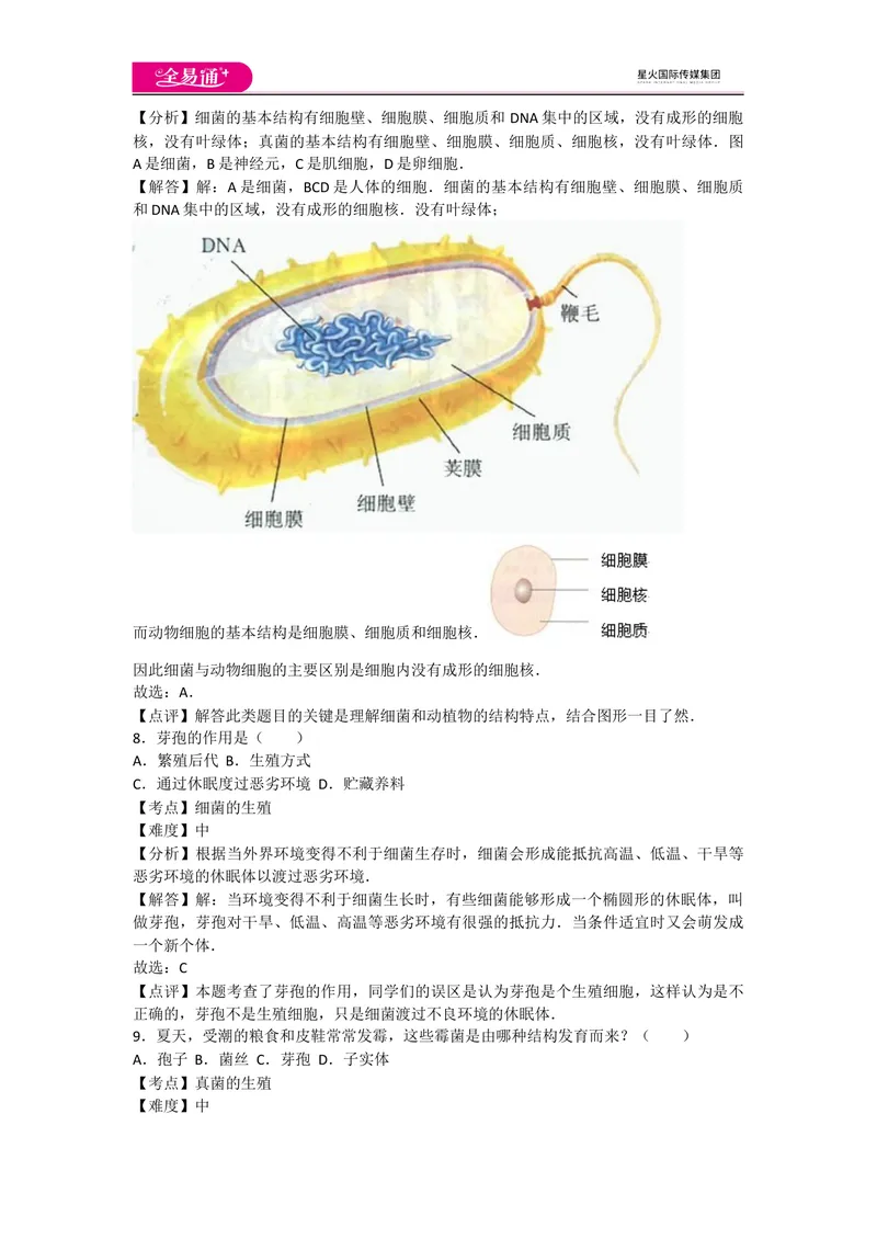 《5.4细菌和真菌卷2_初中全科目同步习题+精品试卷（7-9年级）_25秋初中生物《同步习题+精品试卷》_初中生物试卷（人教版）_《同步试题》_同步试题资源包（8A）_章末卷》第4页预览