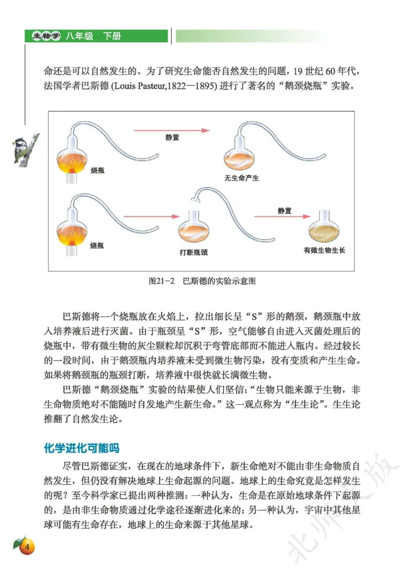 《义务教育教科书·生物学八年级下册_光塔笔记初中课本_初中生物学_北师大》第8页预览