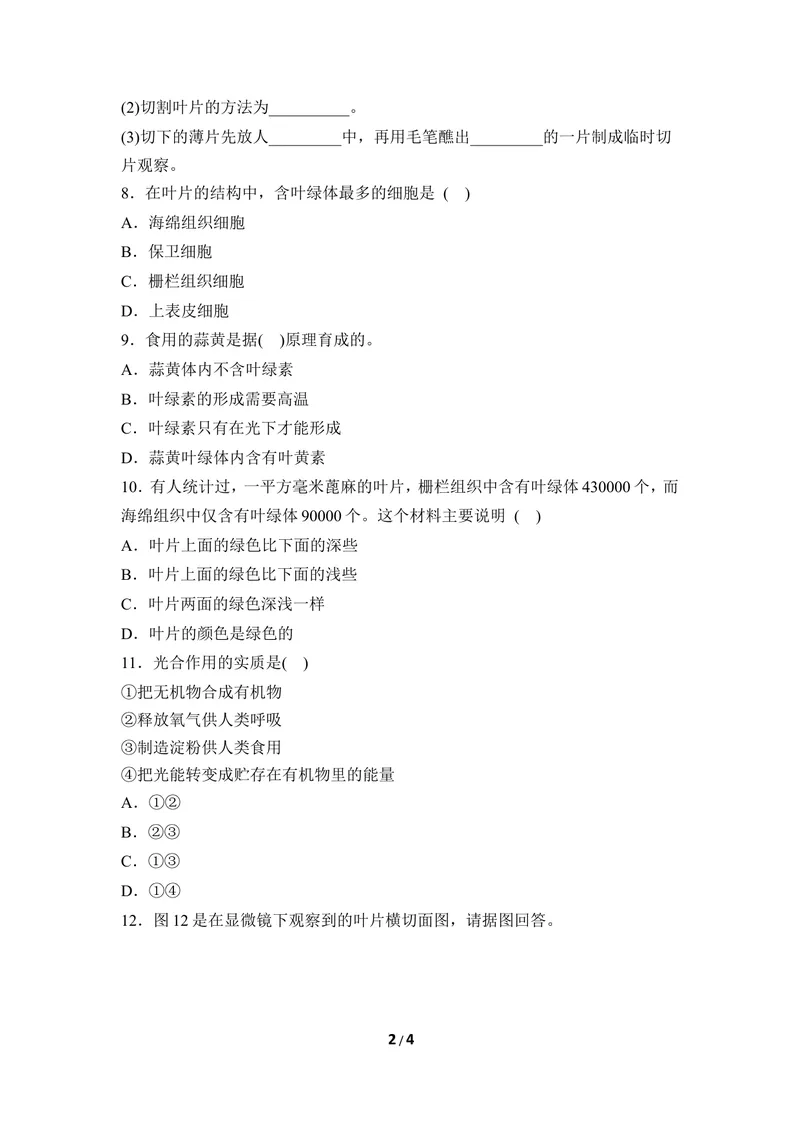 《《光合作用的场所》同步练习_初中全科目同步习题+精品试卷（7-9年级）_25秋初中生物《同步习题+精品试卷》_初中生物试卷（冀少版）_《同步练习+教案学案》_八年级上册》第2页预览
