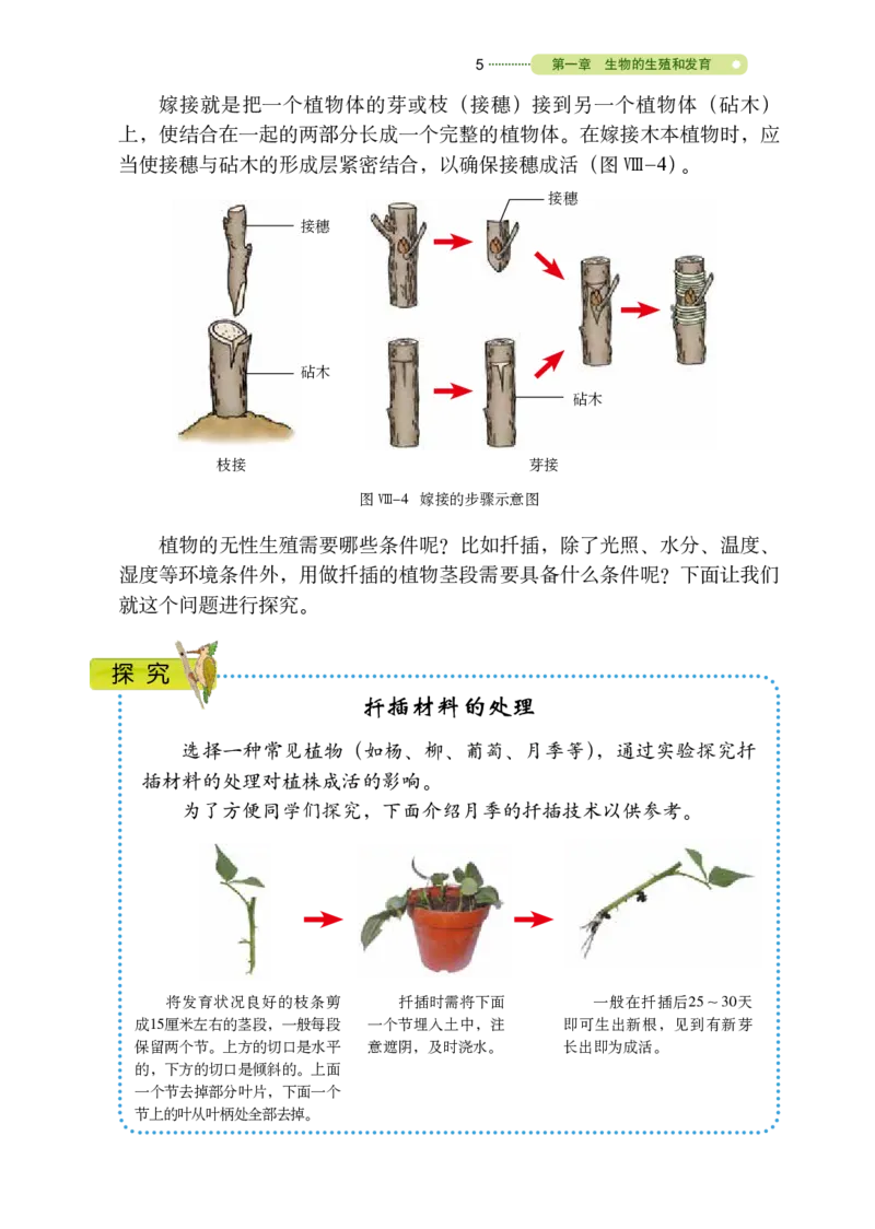 《义务教育教科书（五·四学制）生物学八年级下册_光塔笔记初中课本_初中生物学_鲁科版五四制》第10页预览