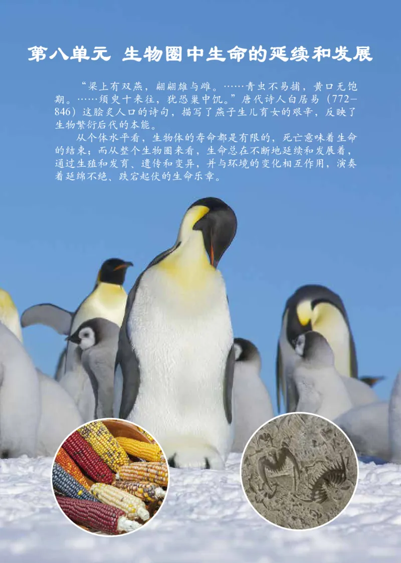 《义务教育教科书（五·四学制）生物学八年级下册_光塔笔记初中课本_初中生物学_鲁科版五四制》第6页预览