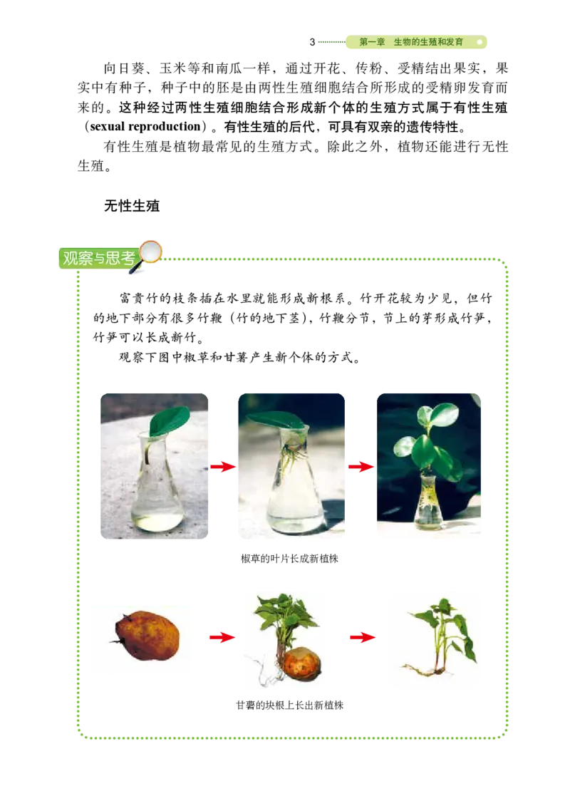《义务教育教科书（五·四学制）生物学八年级下册_光塔笔记初中课本_初中生物学_鲁科版五四制》第8页预览