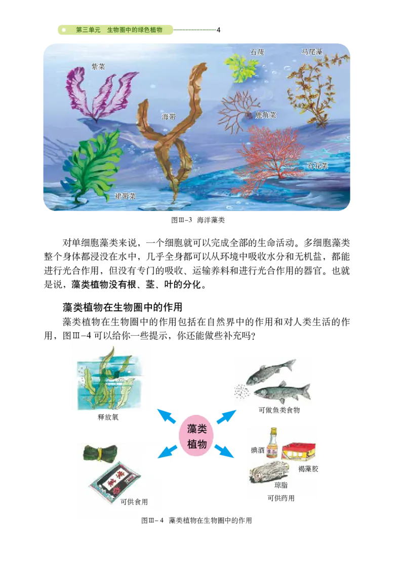 《义务教育教科书（五·四学制）生物学六年级下册_光塔笔记初中课本_初中生物学_鲁科版五四制》第9页预览