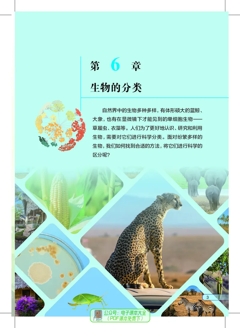 《生物七下沪教版五四制（2025春）_光塔笔记初中课本_2025春新增教材合集_初中生物7年级下册（2025春）》第10页预览