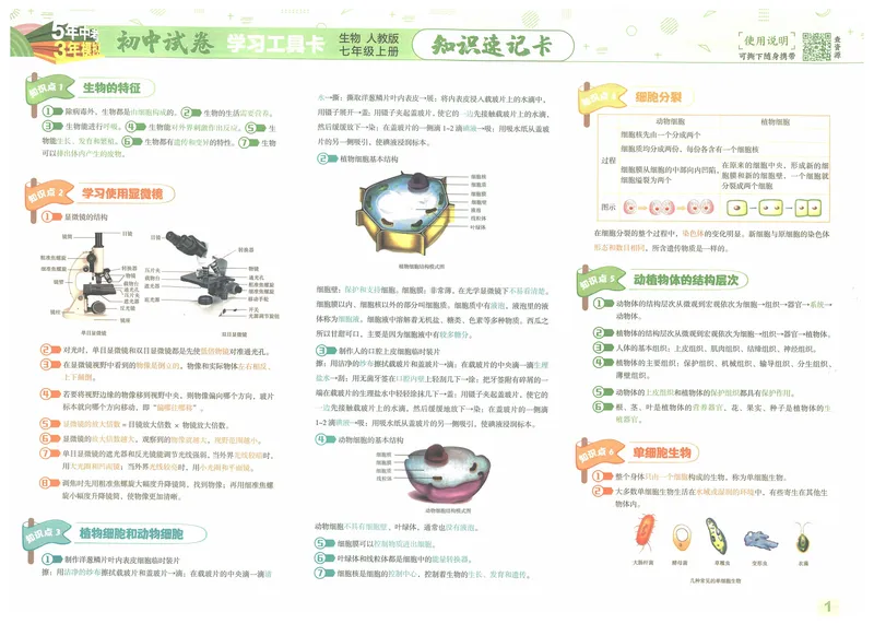 《53初中试卷7年级上册生物（2025版）_初中全科目同步习题+精品试卷（7-9年级）_25秋初中生物《同步习题+精品试卷》_初中生物试卷（人教版）_《53初中试卷》2025春_7-8上册》第3页预览