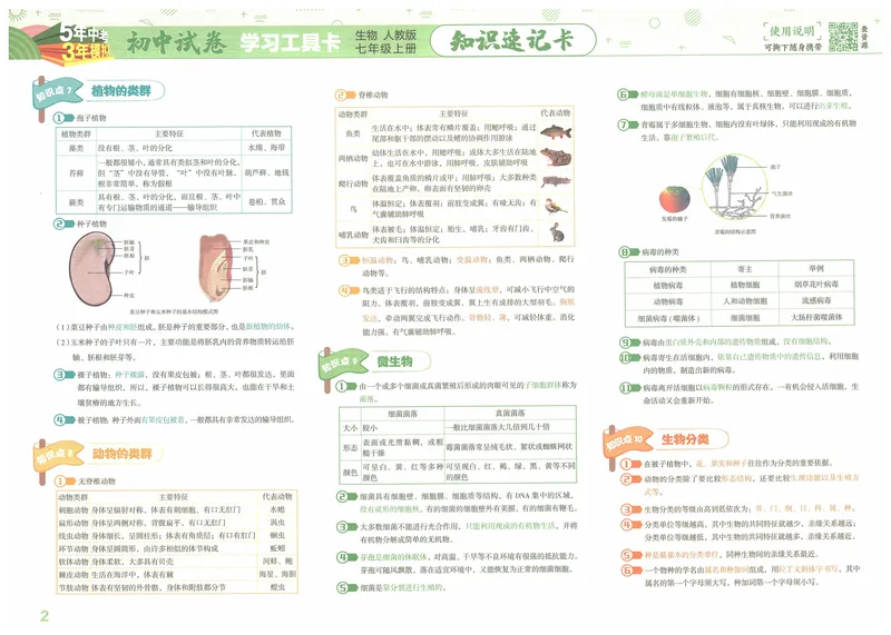 《53初中试卷7年级上册生物（2025版）_初中全科目同步习题+精品试卷（7-9年级）_25秋初中生物《同步习题+精品试卷》_初中生物试卷（人教版）_《53初中试卷》2025春_7-8上册》第4页预览
